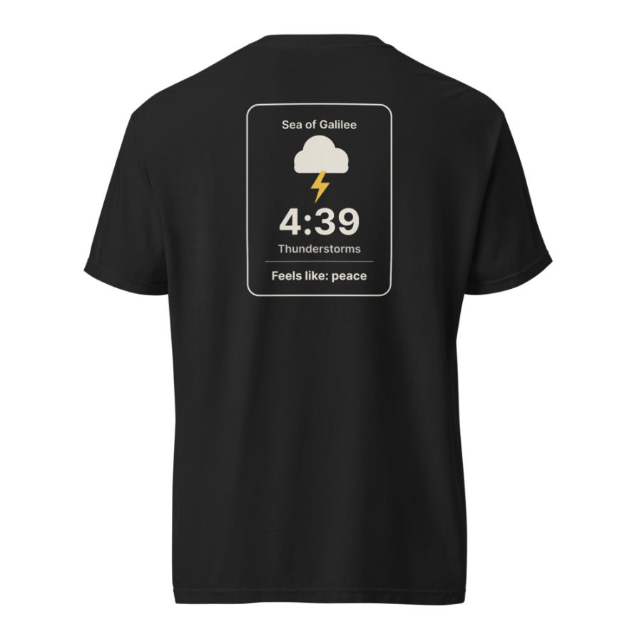 The Forecast Tee, back